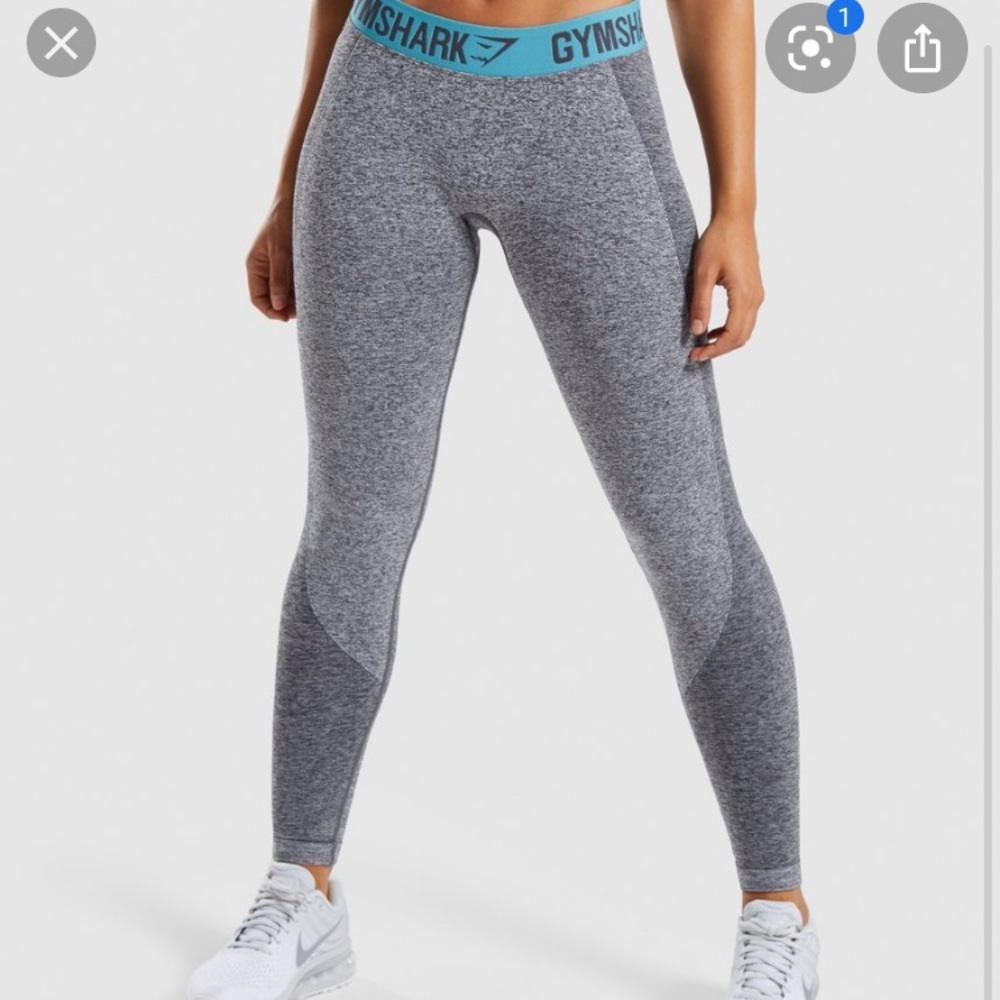 Gym shark Leggings
